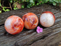 Polished Carnelian Agate Spheres x 3 From Madagascar - Toprock Gemstones and Minerals