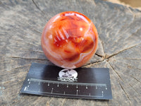 Polished Carnelian Agate Spheres x 3 From Madagascar - Toprock Gemstones and Minerals