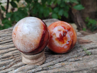 Polished Carnelian Agate Spheres x 3 From Madagascar - Toprock Gemstones and Minerals