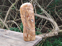 Polished Large Picture Stone Jasper Standing Free Form x 1 From Ais-Ais, Namibia - Toprock Gemstones and Minerals