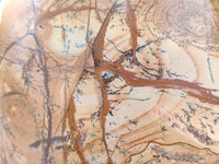 Polished Large Picture Stone Jasper Standing Free Form x 1 From Ais-Ais, Namibia - Toprock Gemstones and Minerals