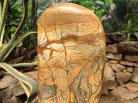 Polished Large Picture Stone Jasper Standing Free Form x 1 From Ais-Ais, Namibia - Toprock Gemstones and Minerals