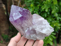 Natural Jacaranda Amethyst Quartz Cluster x 3 From Mumbwa, Zambia - Toprock Gemstones and Minerals