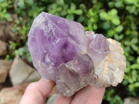 Natural Jacaranda Amethyst Quartz Cluster x 3 From Mumbwa, Zambia - Toprock Gemstones and Minerals