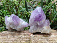 Natural Jacaranda Amethyst Quartz Cluster x 3 From Mumbwa, Zambia - Toprock Gemstones and Minerals