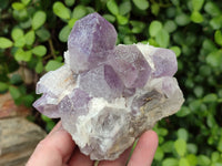 Natural Jacaranda Amethyst Quartz Cluster x 3 From Mumbwa, Zambia - Toprock Gemstones and Minerals