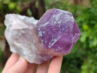 Natural Jacaranda Amethyst Quartz Cluster x 3 From Mumbwa, Zambia - Toprock Gemstones and Minerals
