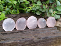 Polished Rose Quartz Palm Stones x 35 From Ambatondrazaka, Madagascar - Toprock Gemstones and Minerals