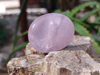 Polished Rose Quartz Palm Stones x 35 From Ambatondrazaka, Madagascar - Toprock Gemstones and Minerals