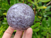 Polished Lepidolite with Pink Rubellite Spheres x 5 From Ambatondrazaka, Madagascar - Toprock Gemstones and Minerals