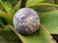 Polished Lepidolite with Pink Rubellite Spheres x 5 From Ambatondrazaka, Madagascar - Toprock Gemstones and Minerals