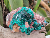 Natural Dioptase On Dolomite Specimens x 3 From Likasi, Congo - Toprock Gemstones and Minerals