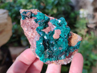 Natural Dioptase On Dolomite Specimens x 3 From Likasi, Congo - Toprock Gemstones and Minerals