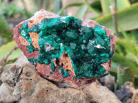 Natural Dioptase On Dolomite Specimens x 3 From Likasi, Congo - Toprock Gemstones and Minerals