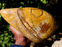 Polished Picture Stone Jasper Standing Free Form x 1 From Ais-Ais, Namibia - Toprock Gemstones and Minerals