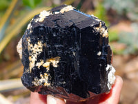 Natural Schorl Black Tourmaline With Hyalite Opal Specimens x 2 From Erongo, Namibia - Toprock Gemstones and Minerals