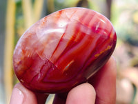 Polished Small Carnelian Gallets Perfect For Creatives x 82 From Madagascar - Toprock Gemstones and Minerals