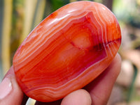 Polished Small Carnelian Gallets Perfect For Creatives x 82 From Madagascar - Toprock Gemstones and Minerals
