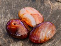 Polished Small Carnelian Gallets Perfect For Creatives x 82 From Madagascar - Toprock Gemstones and Minerals