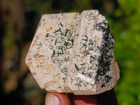Natural Schorl Black Tourmaline on Orthoclase Matrix Clusters x 13 From Erongo, Namibia - Toprock Gemstones and Minerals