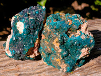 Natural Dioptase On Dolomite Specimens x 3 From Likasi, Congo - Toprock Gemstones and Minerals