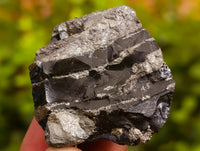 Natural Rare Pharaoh Stone Pyrite Cobbed Specimens x 35 From Iron Duke Mine, Zimbabwe - Toprock Gemstones and Minerals