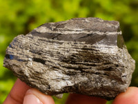 Natural Rare Pharaoh Stone Pyrite Cobbed Specimens x 35 From Iron Duke Mine, Zimbabwe - Toprock Gemstones and Minerals