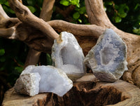 Natural Blue Lace Agate Geodes x 24 From Nsanje, Malawi - Toprock Gemstones and Minerals