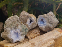 Natural Blue Lace Agate Geodes x 24 From Nsanje, Malawi - Toprock Gemstones and Minerals
