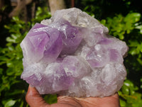 Natural Jacaranda Amethyst Quartz Cluster x 2 From Mumbwa, Zambia - Toprock Gemstones and Minerals