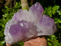 Natural Jacaranda Amethyst Quartz Cluster x 2 From Mumbwa, Zambia - Toprock Gemstones and Minerals