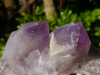 Natural Jacaranda Amethyst Quartz Cluster x 2 From Mumbwa, Zambia - Toprock Gemstones and Minerals