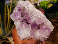 Natural Jacaranda Amethyst Quartz Geodes x 2 From Mumbwa, Zambia - Toprock Gemstones and Minerals