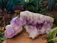 Natural Jacaranda Amethyst Quartz Geodes x 2 From Mumbwa, Zambia - Toprock Gemstones and Minerals