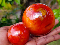 Polished Carnelian Agate Spheres x 4 From Madagascar - Toprock Gemstones and Minerals