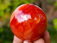 Polished Carnelian Agate Spheres x 4 From Madagascar - Toprock Gemstones and Minerals