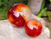 Polished Carnelian Agate Spheres x 4 From Madagascar - Toprock Gemstones and Minerals