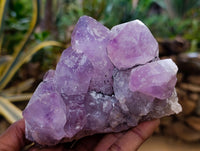 Natural Jacaranda Amethyst Quartz Clusters x 6 From Mumbwa, Zambia - Toprock Gemstones and Minerals