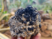 Natural Schorl Black Tourmaline Clusters x 2 From Erongo, Namibia - Toprock Gemstones and Minerals