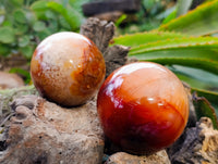 Polished Carnelian Agate Spheres x 3 From Madagascar - Toprock Gemstones and Minerals