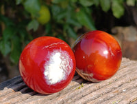 Polished Carnelian Agate Spheres x 6 From Madagascar - Toprock Gemstones and Minerals