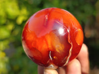 Polished Carnelian Agate Spheres x 6 From Madagascar - Toprock Gemstones and Minerals