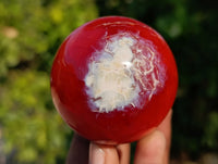 Polished Carnelian Agate Spheres x 6 From Madagascar - Toprock Gemstones and Minerals