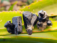 Natural Schorl Black Tourmaline Specimens with some Orthoclase, Smokey Quartz and Hyalite Opal x 70 From Erongo, Namibia - Toprock Gemstones and Minerals
