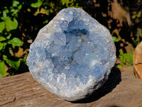 Natural Celestite Geode Specimens x 1 From Sakoany, Madagascar - Toprock Gemstones and Minerals