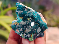 Natural Dioptase On Dolomite Specimens x 12 From Likasi, Congo - Toprock Gemstones and Minerals