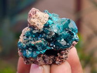 Natural Dioptase On Dolomite Specimens x 12 From Likasi, Congo - Toprock Gemstones and Minerals