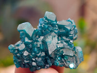 Natural Dioptase On Dolomite Specimens x 12 From Likasi, Congo - Toprock Gemstones and Minerals