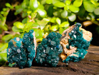Natural Dioptase On Dolomite Specimens x 12 From Likasi, Congo - Toprock Gemstones and Minerals