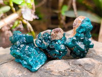 Natural Dioptase On Dolomite Specimens x 12 From Likasi, Congo - Toprock Gemstones and Minerals